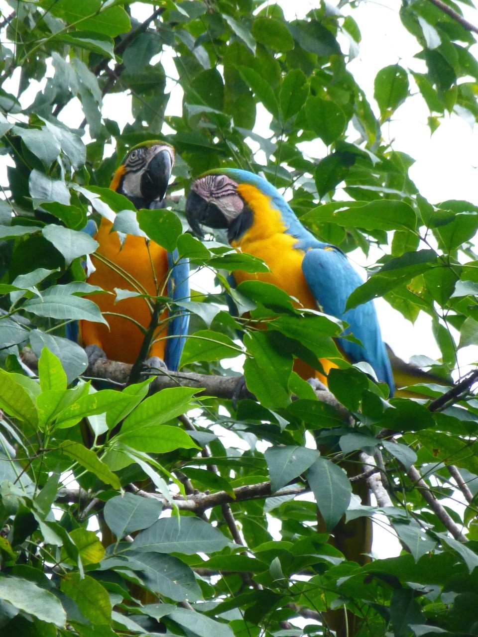 Brasilien: Alto Paraiso