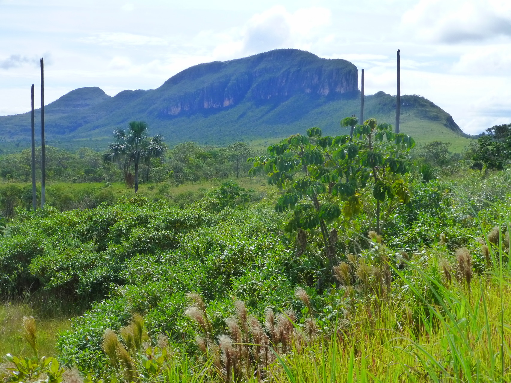 Brasilien: Chapada dos Veadeiros