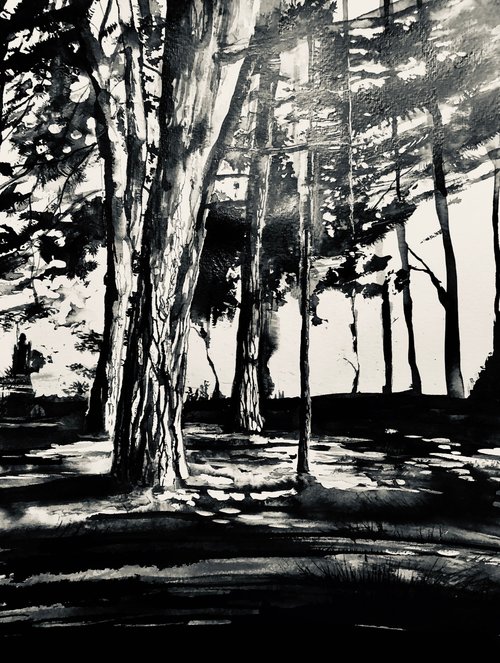 Vers les pins, encre 2019