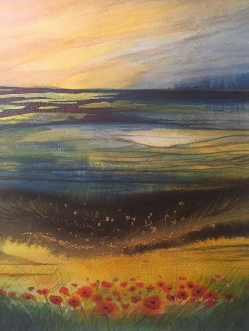 Les coquelicots, aquarelle 2016