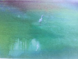 Héron, aquarelle 2016
