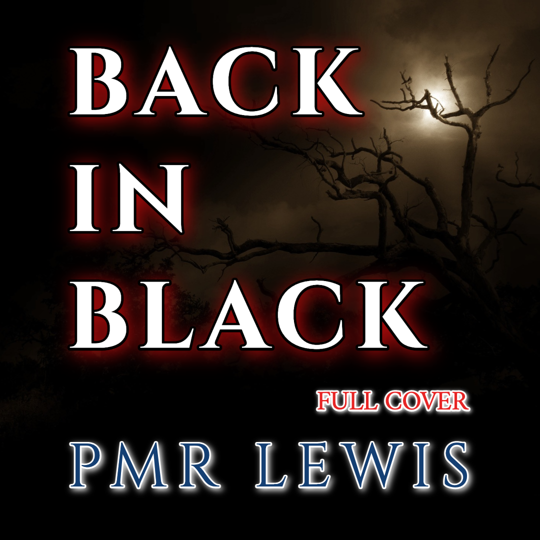 Cover " Back In Black - PMR Lewis "のミュージックビデオ、本日リリースしました。