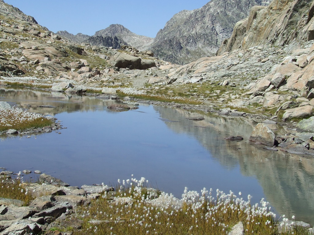 Tourbière sous le Campbieilh