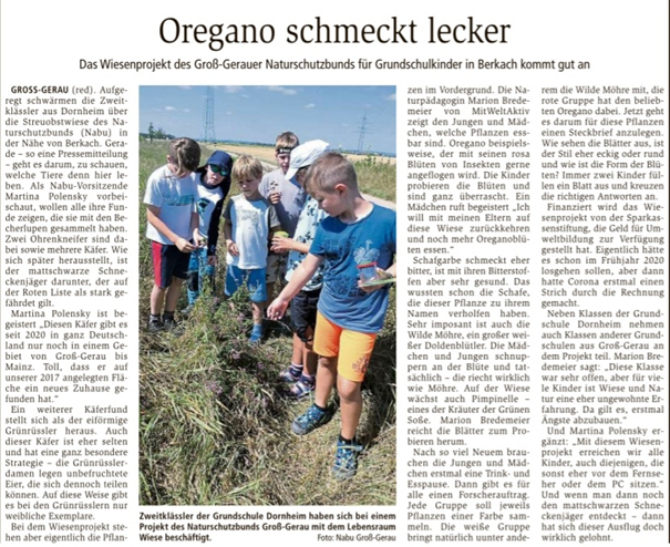 Zeitungsartikel "Oregano schmeckt lecker"