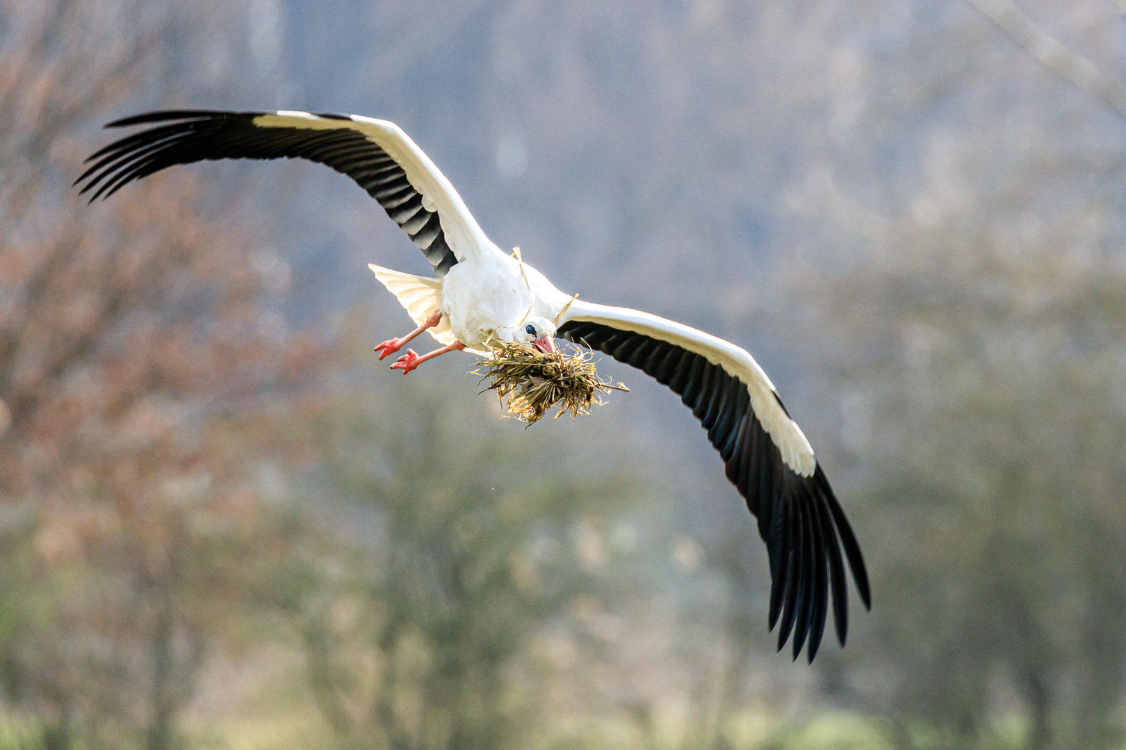 Foto: Michael Lamberty