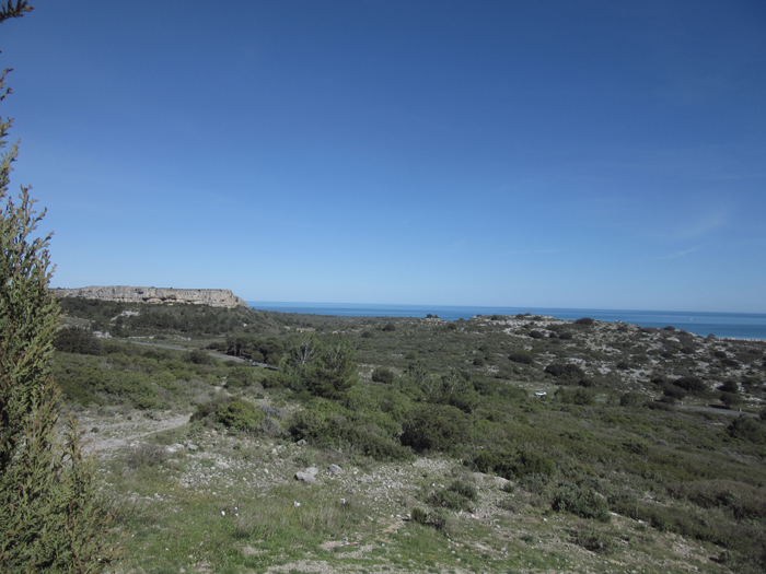 Mittelmeer Frankreich Natur Ausblick frei stehen