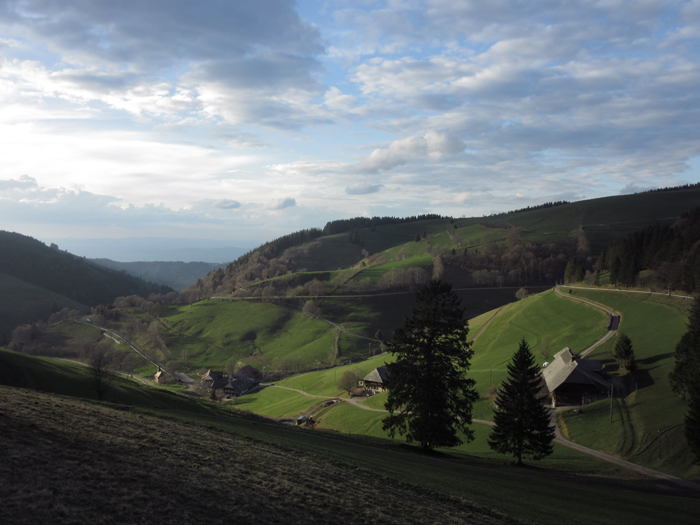 Belchen Schwarzwald Blackforest Wandern