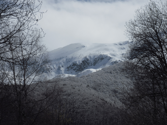 Schnee Berge Alpen Gipfel