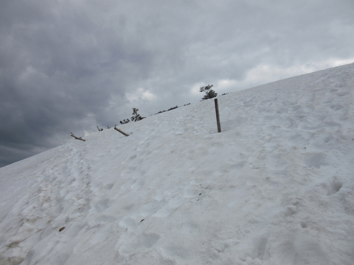 Schwarzwald Wandern Schnee Belchen Westweg