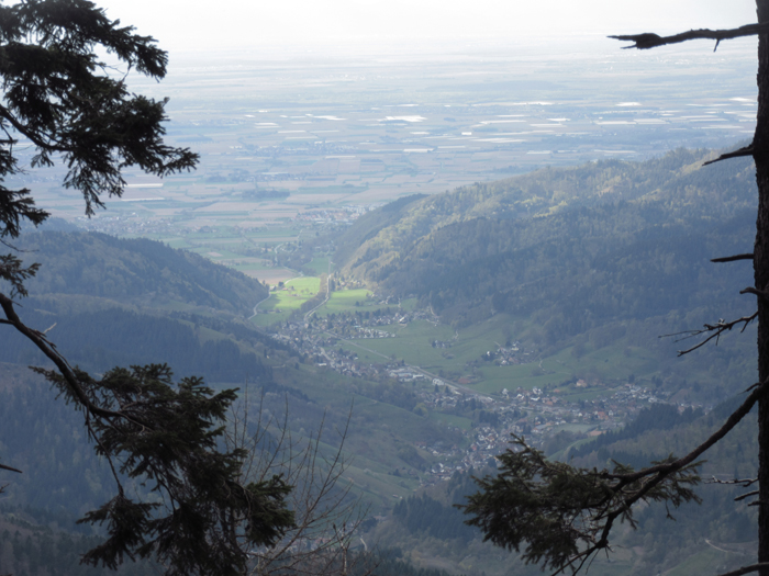 Schwarzwald Tal Ausblick 