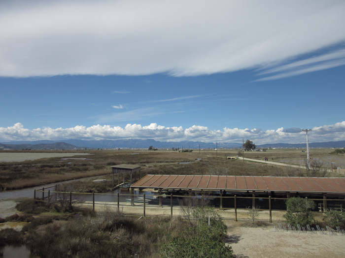 Ebro Delta Spanien