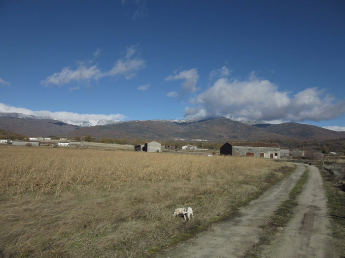 Gredos Natur Trockenhäuser