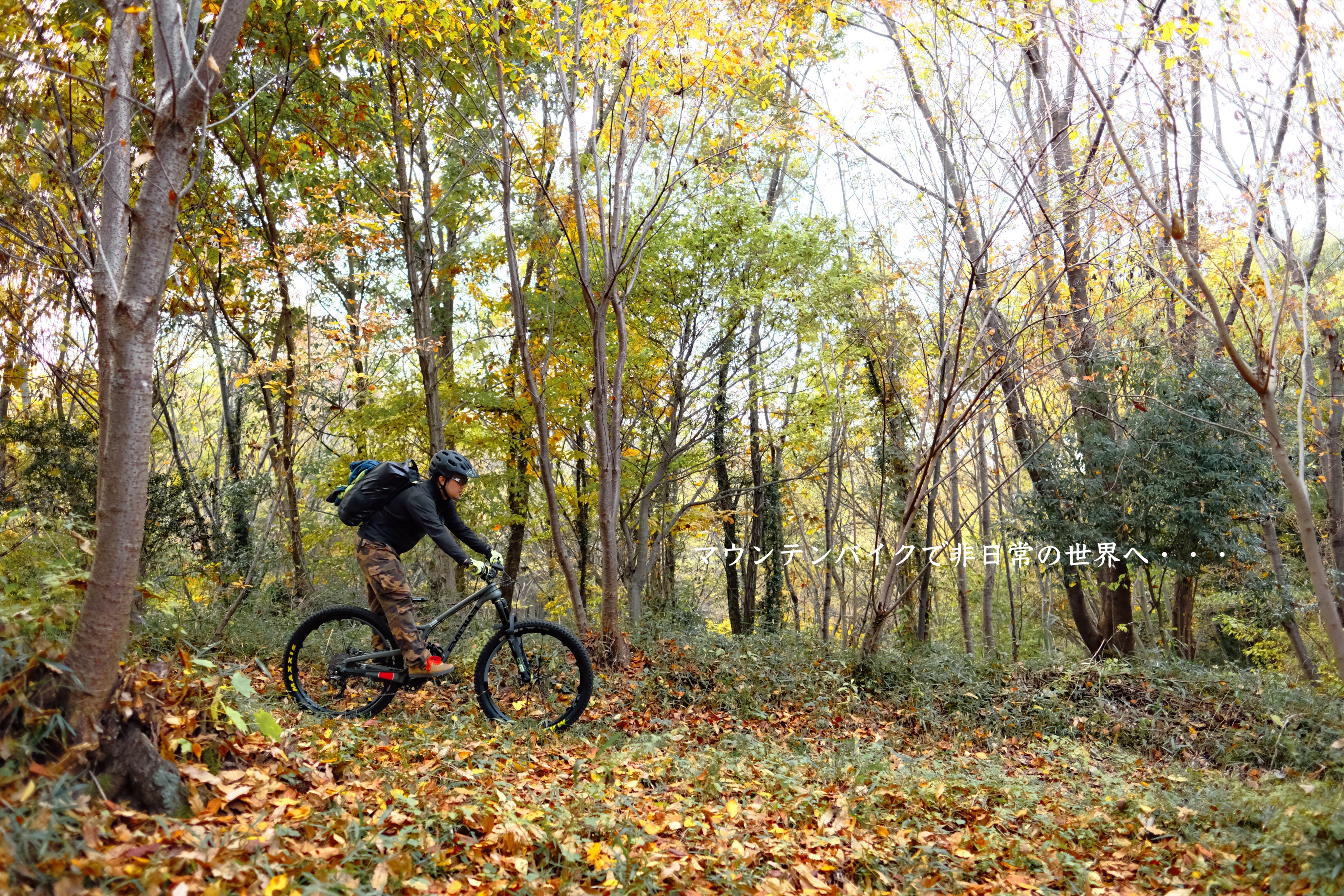 Evil マウンテンバイク 26インチ　神奈川県 ウィルバイシクル】MTB フレーム - WillBicycle WEB STORE