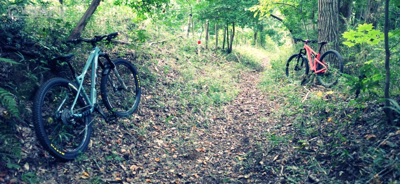トレイルライド【MTB】〜2024 Nov.〜
