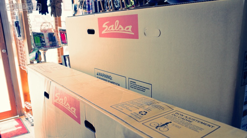 SALSA 初入荷！