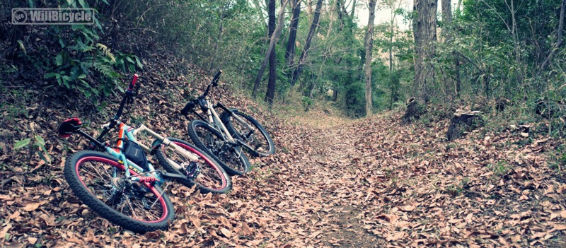 トレイルライド【MTB】〜2026 Mar.〜