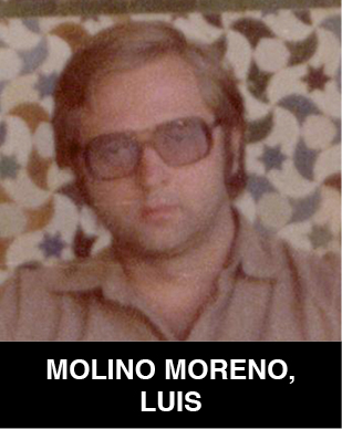 Luis Molino Moreno