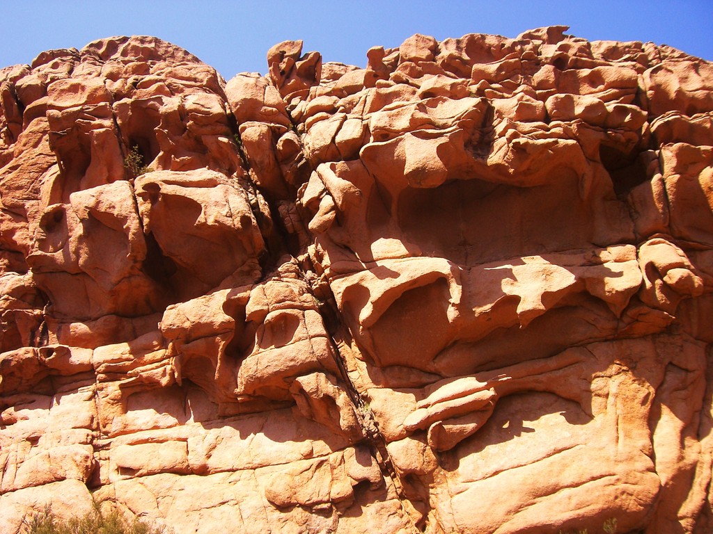 Tafoni ( Calanche de Piana - Corse du Sud )