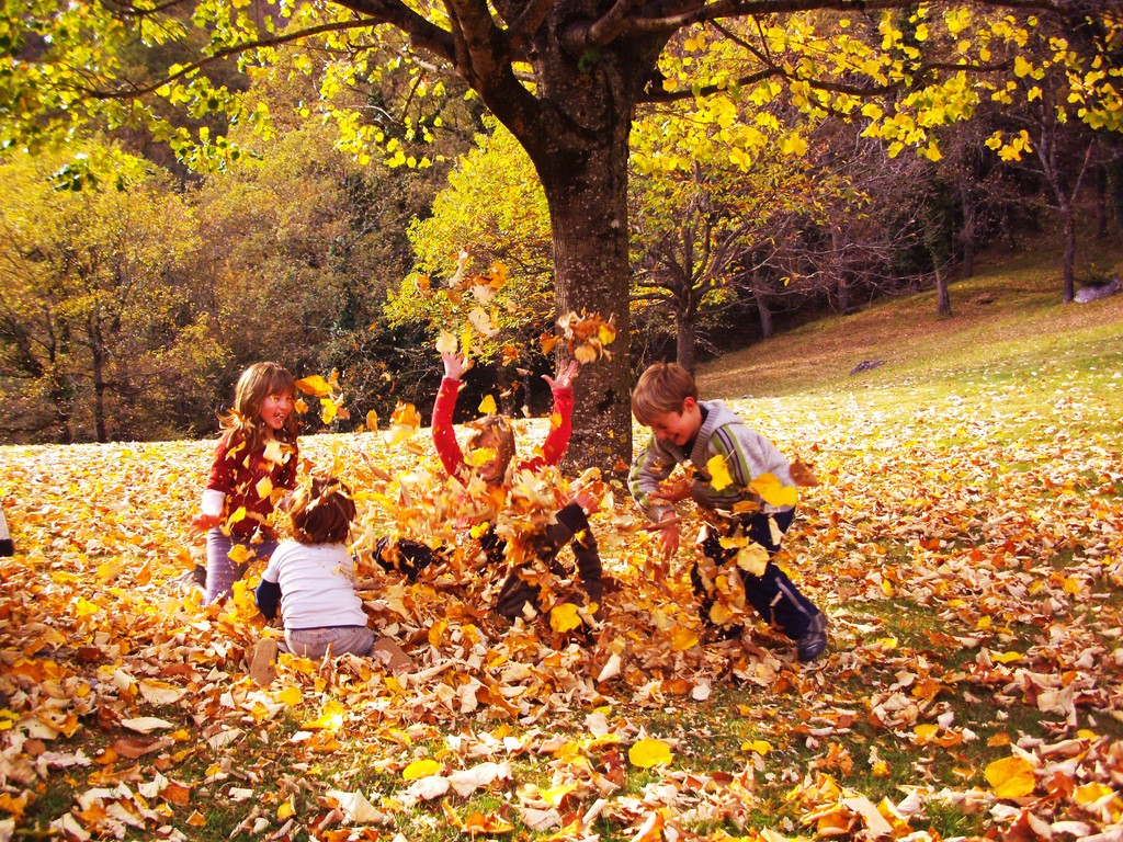 Jeux d'enfants en automne