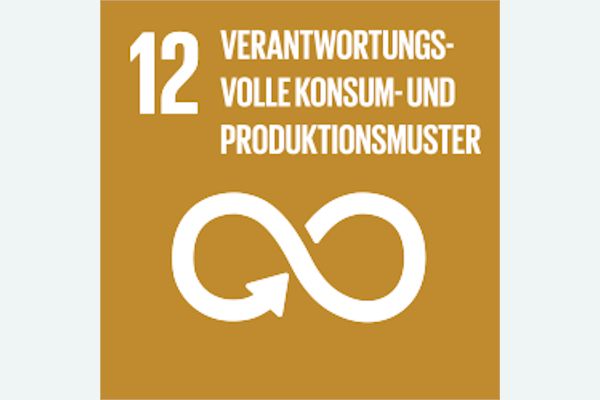 Nachhaltige Konsum- und Produktionsmuster sicherstellen