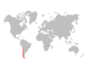 Chile in the world