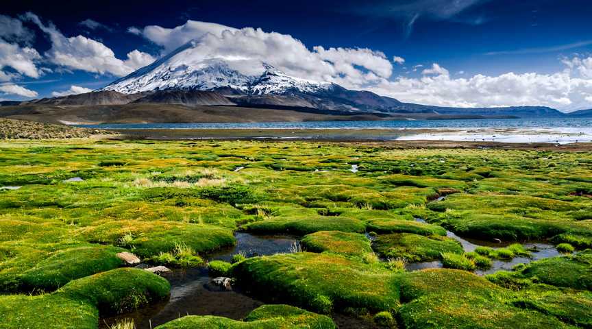 Nationalpark Lauca bei Putre