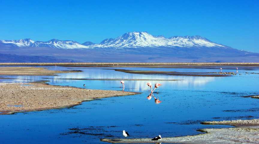 Lagunas Altiplánicas bei San Pedro de Atacama