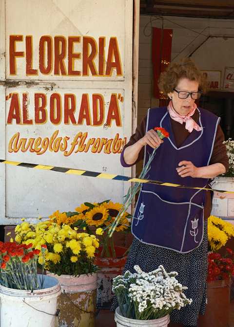 Alltag in Concepción 4