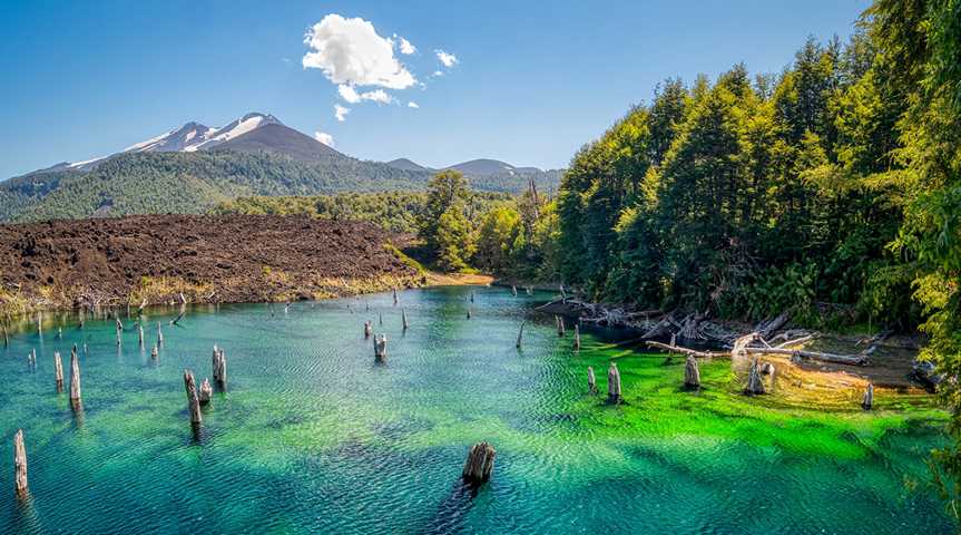 Vulkanische Landschaft im Nationalpark Conguillío