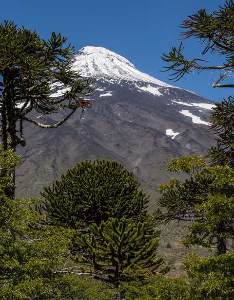 Vulkan Lanín