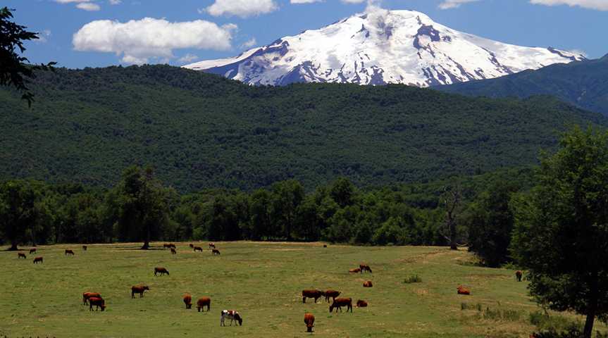 Vulkan Calbuco