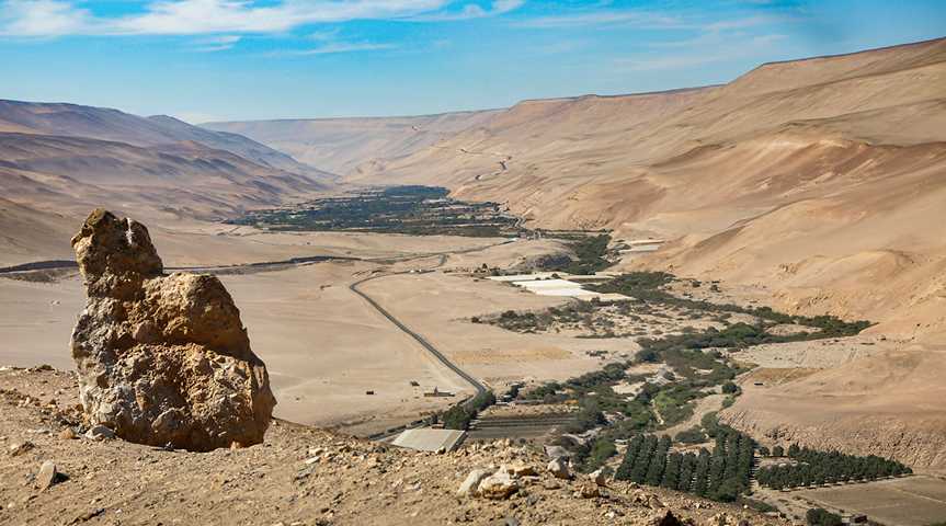 Valle de Azapa bei Arica