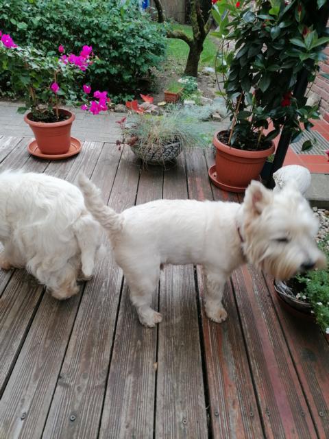 August zu Besuch bei uns