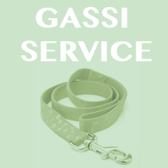 Gassi-Service in Berlin