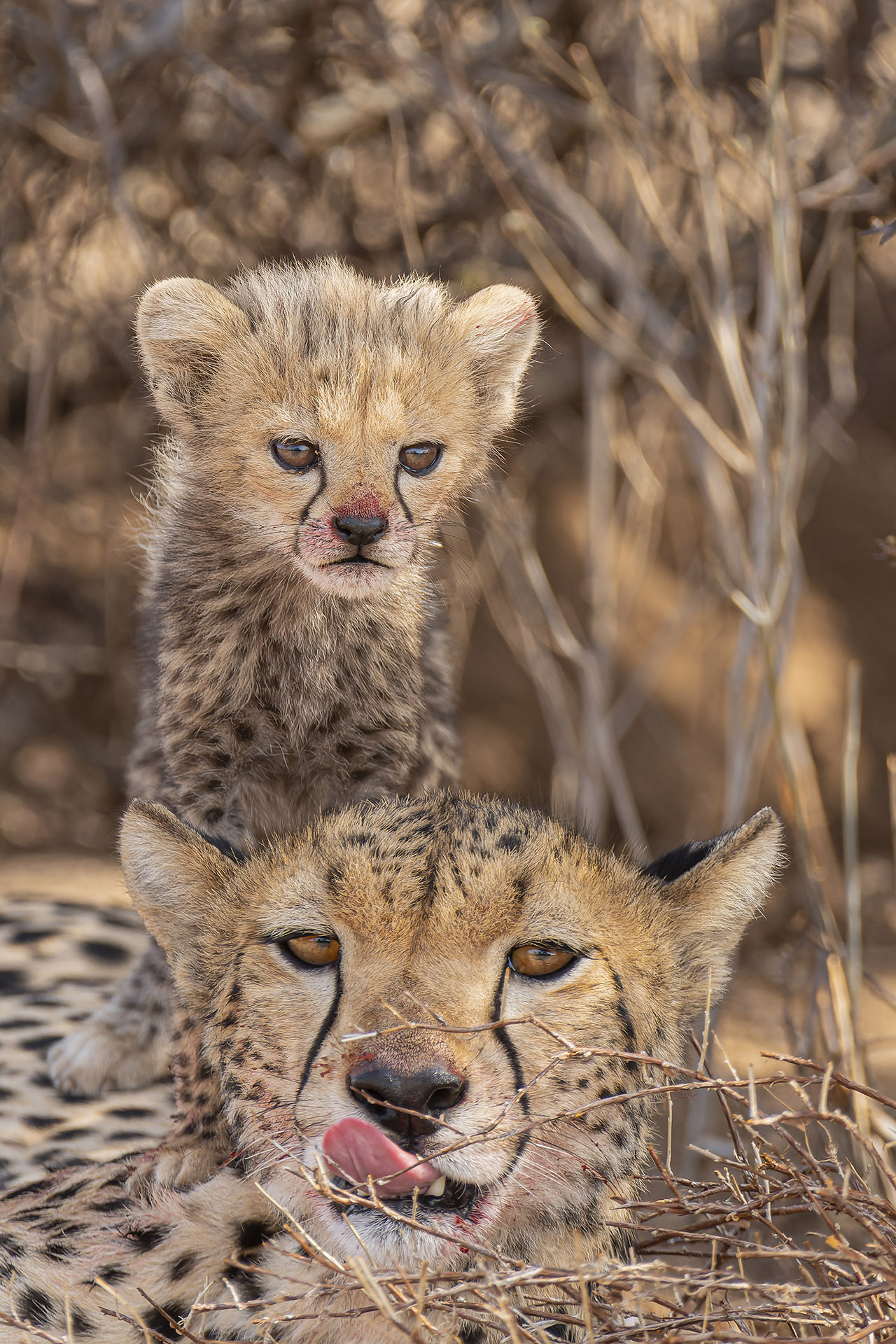 Mum and I