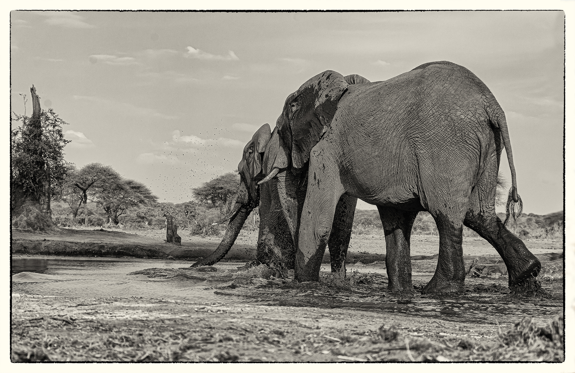 Vamos à la playa, Senyati, Botswana 2017