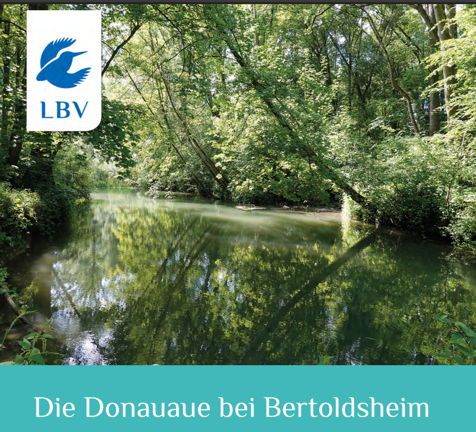 Donauaue bei Bertoldsheim
