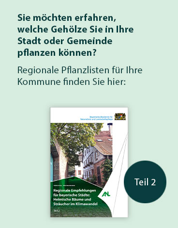 Hinweis auf eine Publikation zu heimischen Bäumen und Sträuchern im Klimawandel