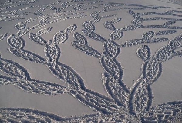 Снежные узоры