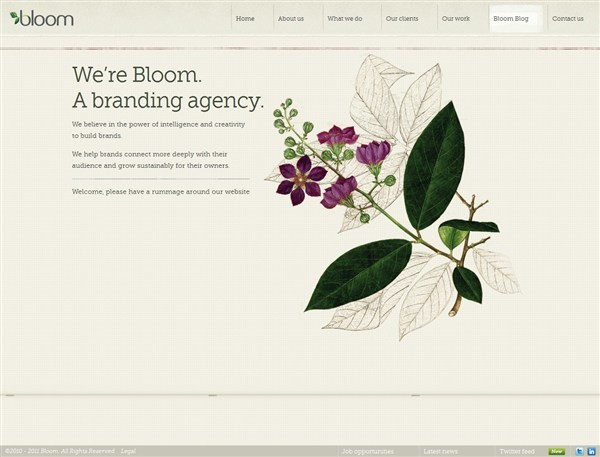 Bloom