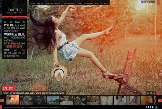 WordPress