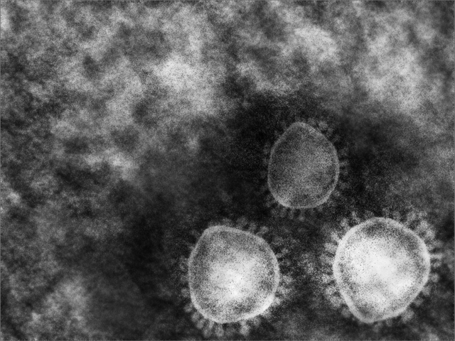 エンベロープウイルス　光触媒はエンベロープウイルス、ノンエンベロープウイルスどちらにも効果を発揮します。