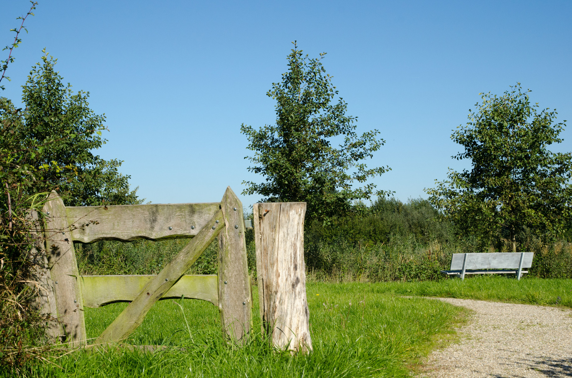 Wandelweer