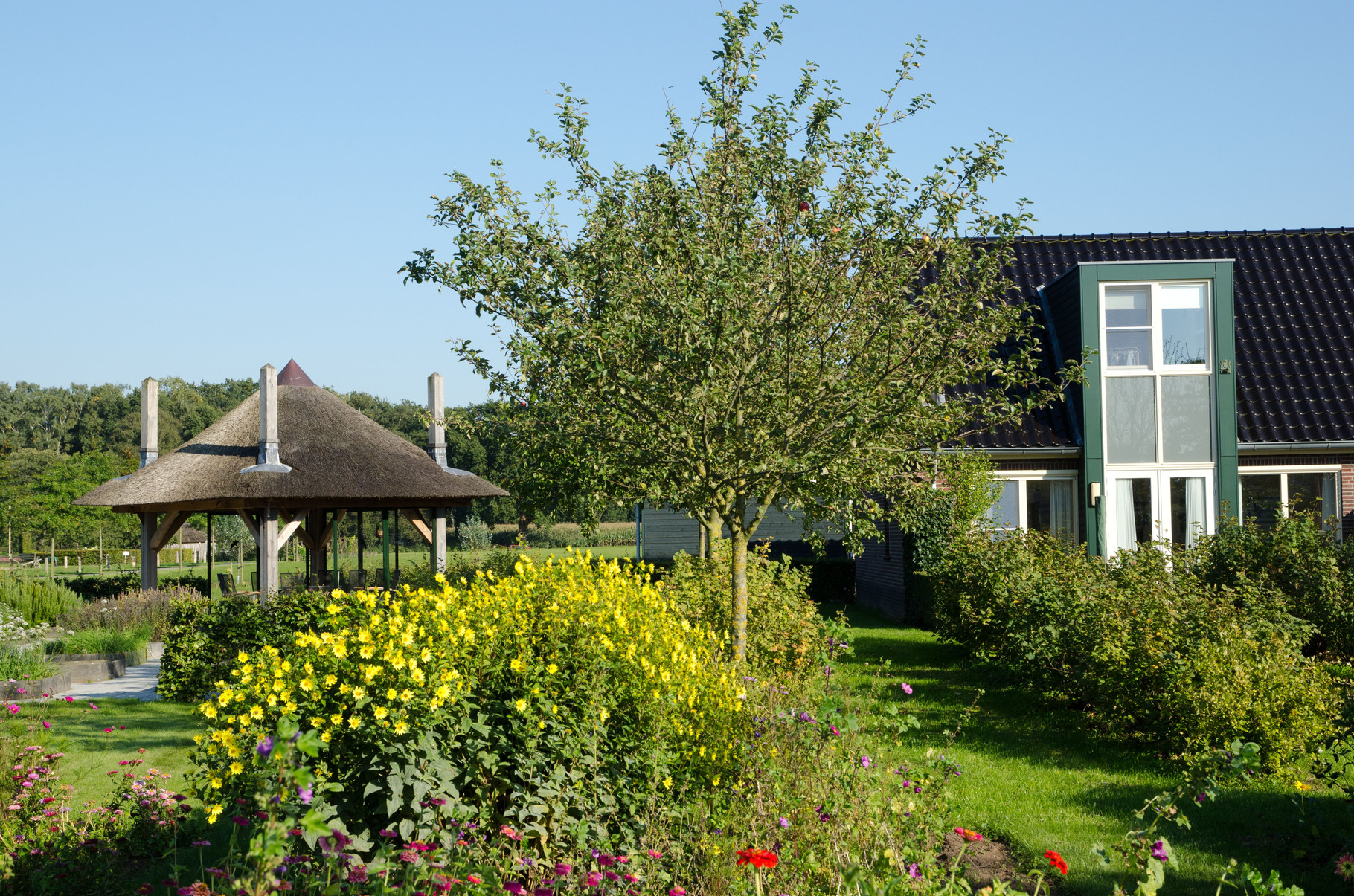 Midden in het groen