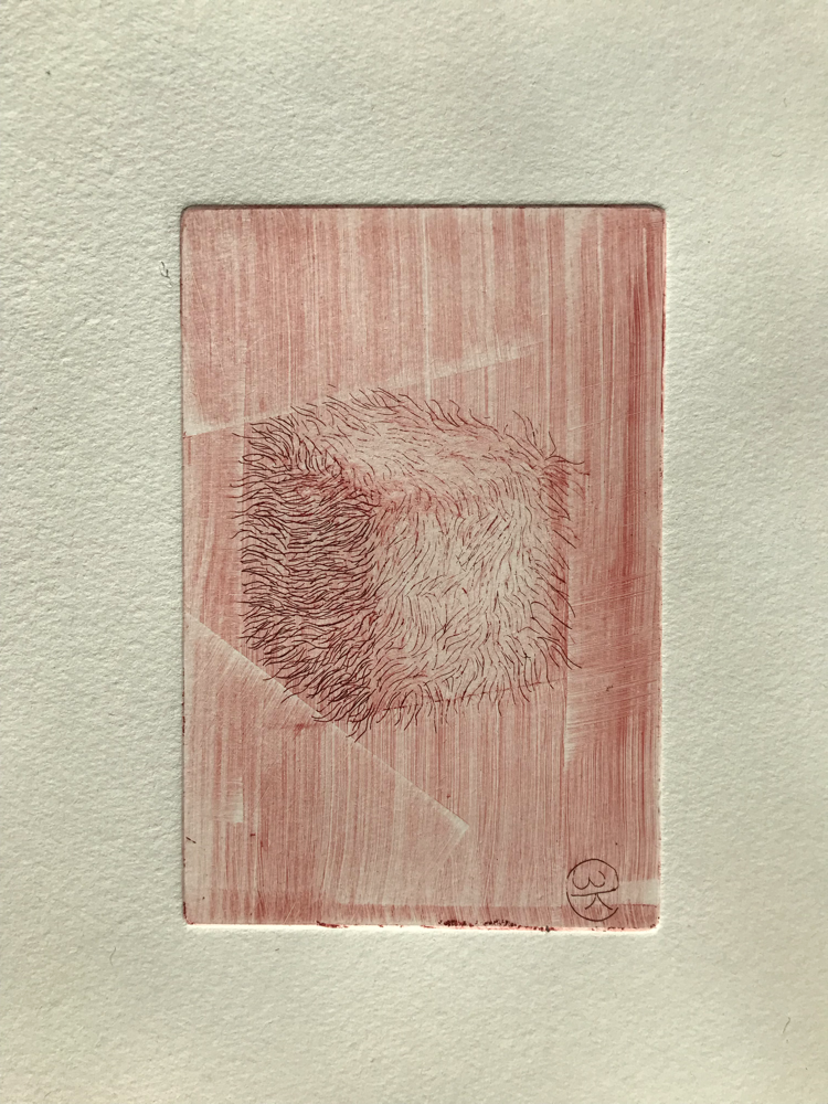 Hairy die I , Engraving / 32 x 26 cm / 2019 / 20