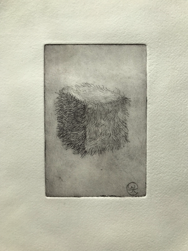 Hairy die III , Engraving / 32 x 26 cm / 2019 / 22