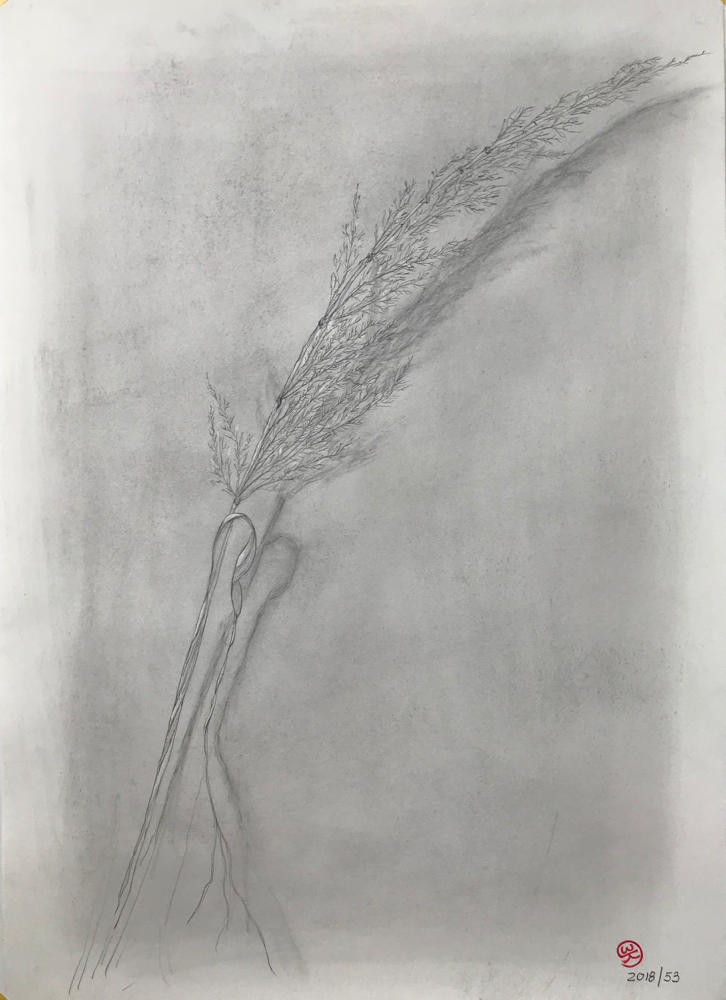 Autumn , Pencil on paper / 59,7 x 42 cm