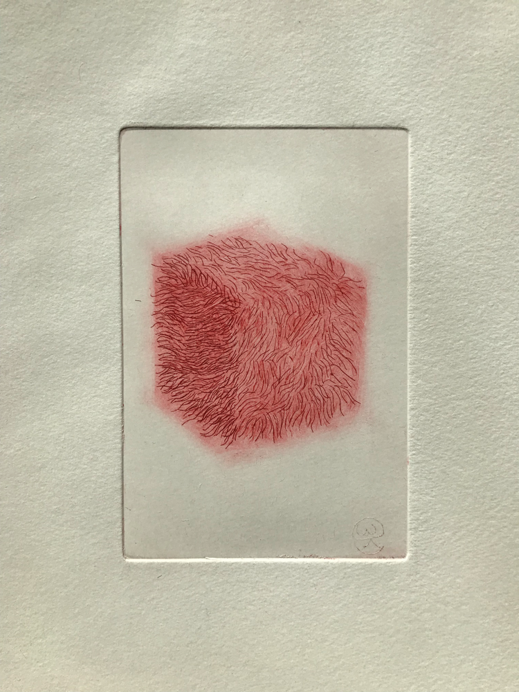 Hairy die II , Engraving / 32 x 26 cm / 2019 / 21