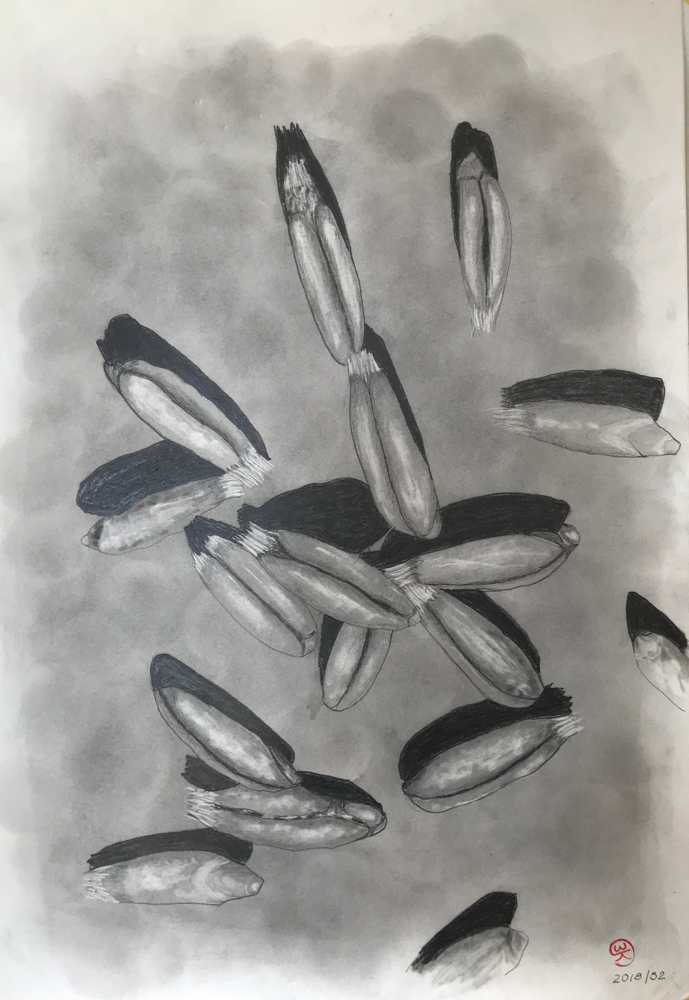 Erotism of grains of wheat, Pencil on paper / 59,7 x 42 cm 