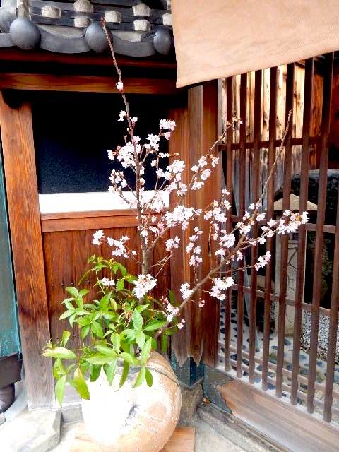 SAKE Seminar Workshop